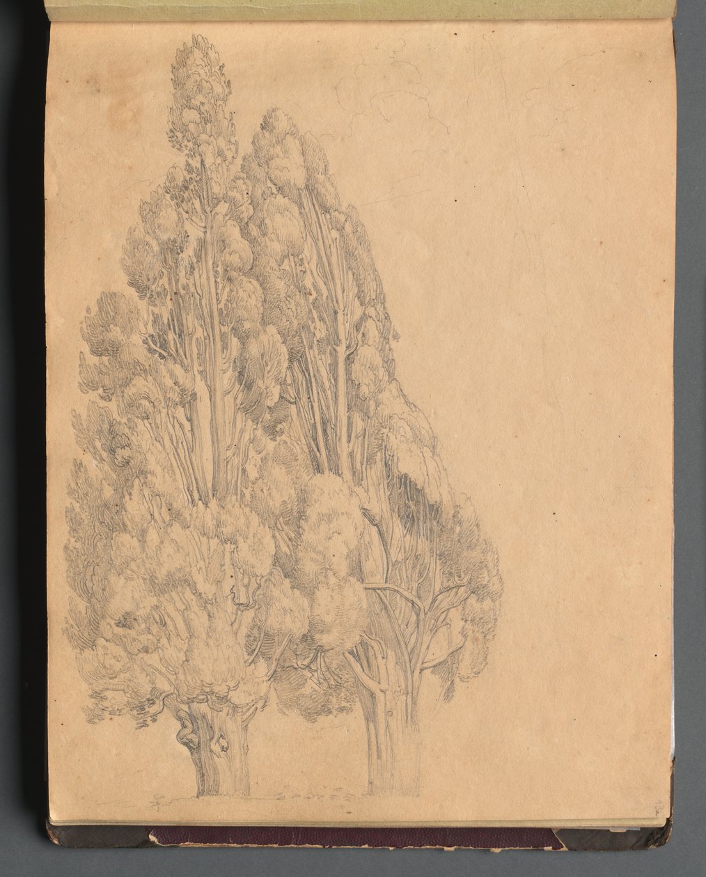 Álbum com vistas de Roma e arredores, Estudos de paisagem, página 13a: Árvores de Franz Johann Heinrich Nadorp