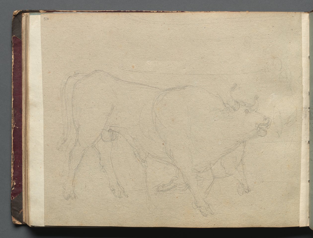 Álbum com vistas de Roma e arredores, Estudos de paisagem, página 51b: Estudo de um touro de Franz Johann Heinrich Nadorp