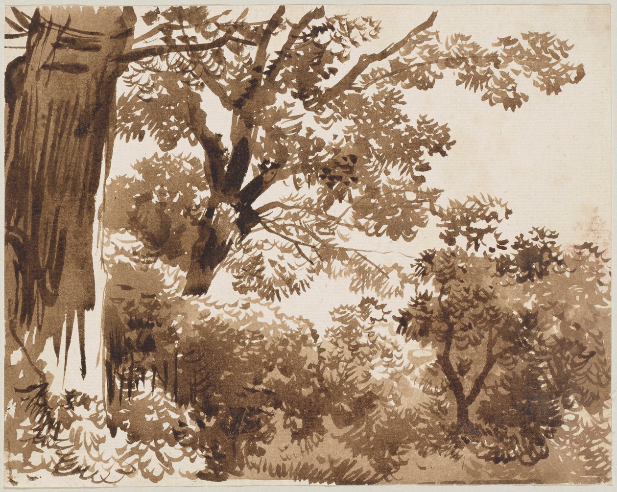 Na floresta de Franz Kobell