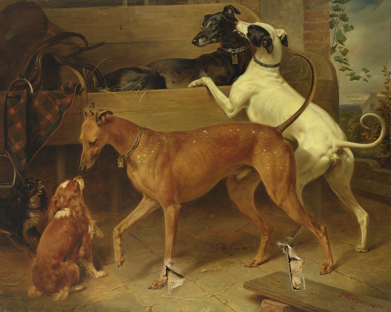 Cães Krugers, 1855 de Franz Krüger