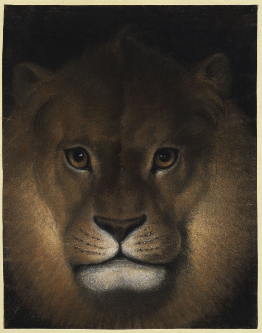 Cabeça de leão de Franz Krüger