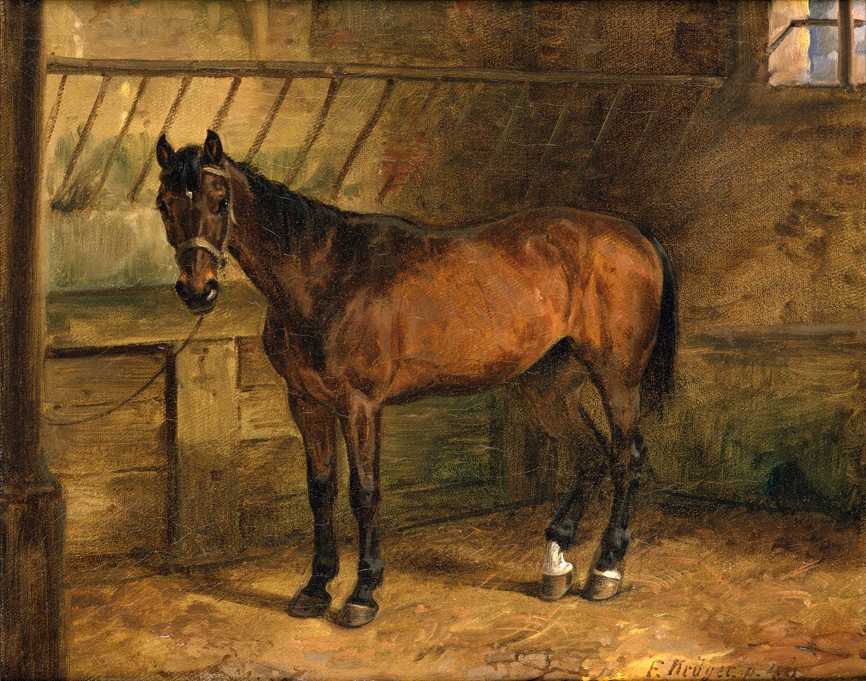 Cavalo no estábulo de Franz Krüger
