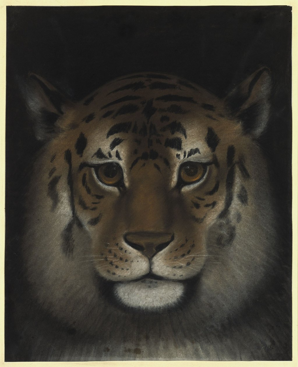 Cabeça de tigre de Franz Krüger