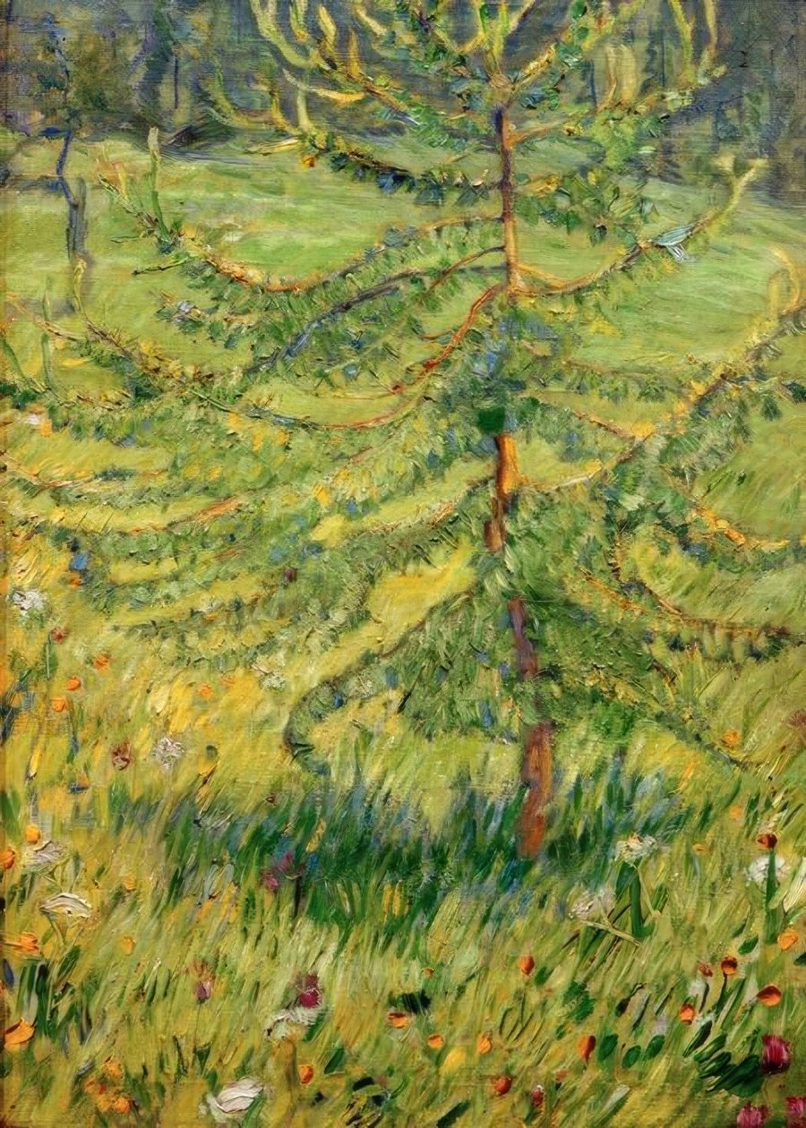 Larício jovem em um prado da floresta de Franz Marc