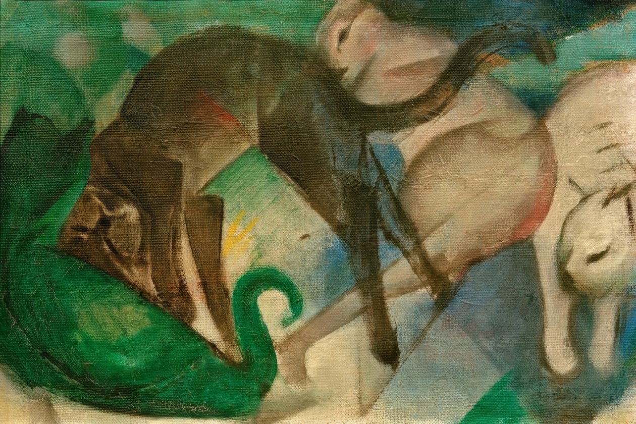 Brincando com gatos (foto do gato) de Franz Marc