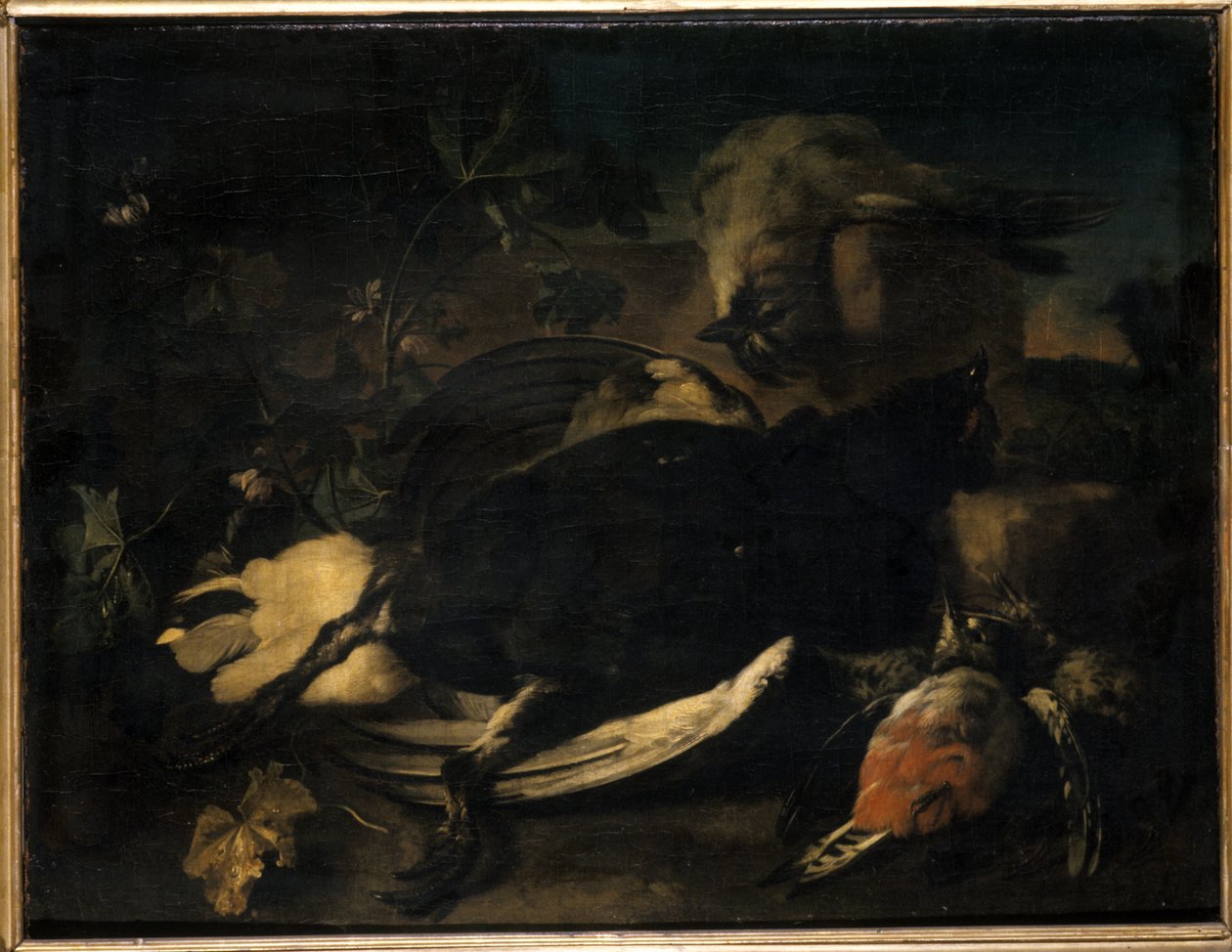 Aves mortas de Franz Werner Tamm