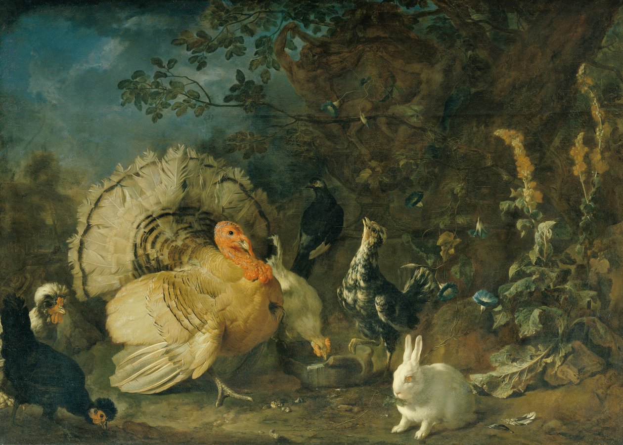 Aves e coelhos domésticos de Franz Werner Tamm