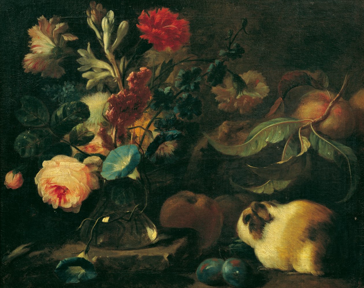 Natureza Morta com Porcos da Guiné, Flores e Frutos de Franz Werner Tamm