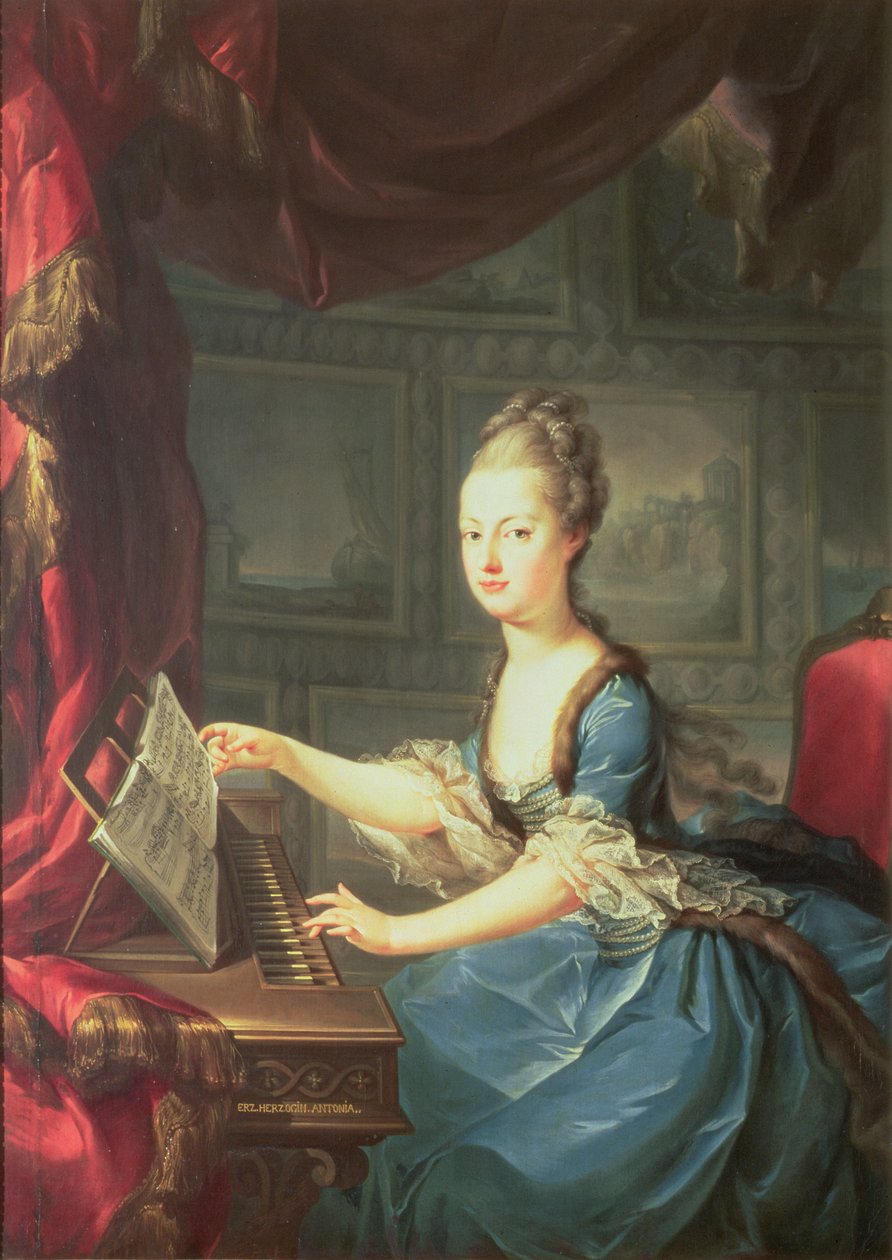 A arquiduquesa Marie Antoinette Habsburg-Lothringen (1755-1793) no espinheiro, décimo quinto filho da imperatriz Maria Teresa da Áustria (1717-1780) e imperador Francisco I (1708-65) esposa de Luís XVI da França (17 de Franz Xaver Wagenschon