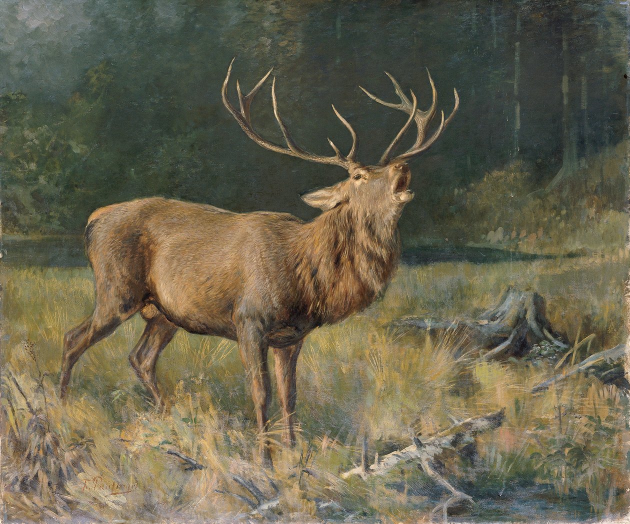 Cervo cortante de Franz Xaver von Pausinger