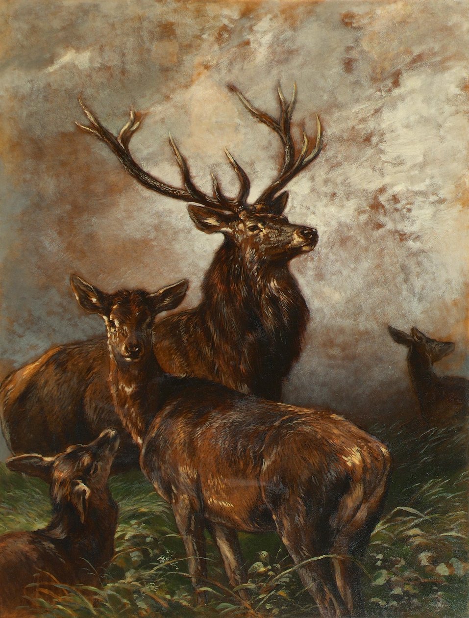 Veados e corças de Franz Xaver von Pausinger