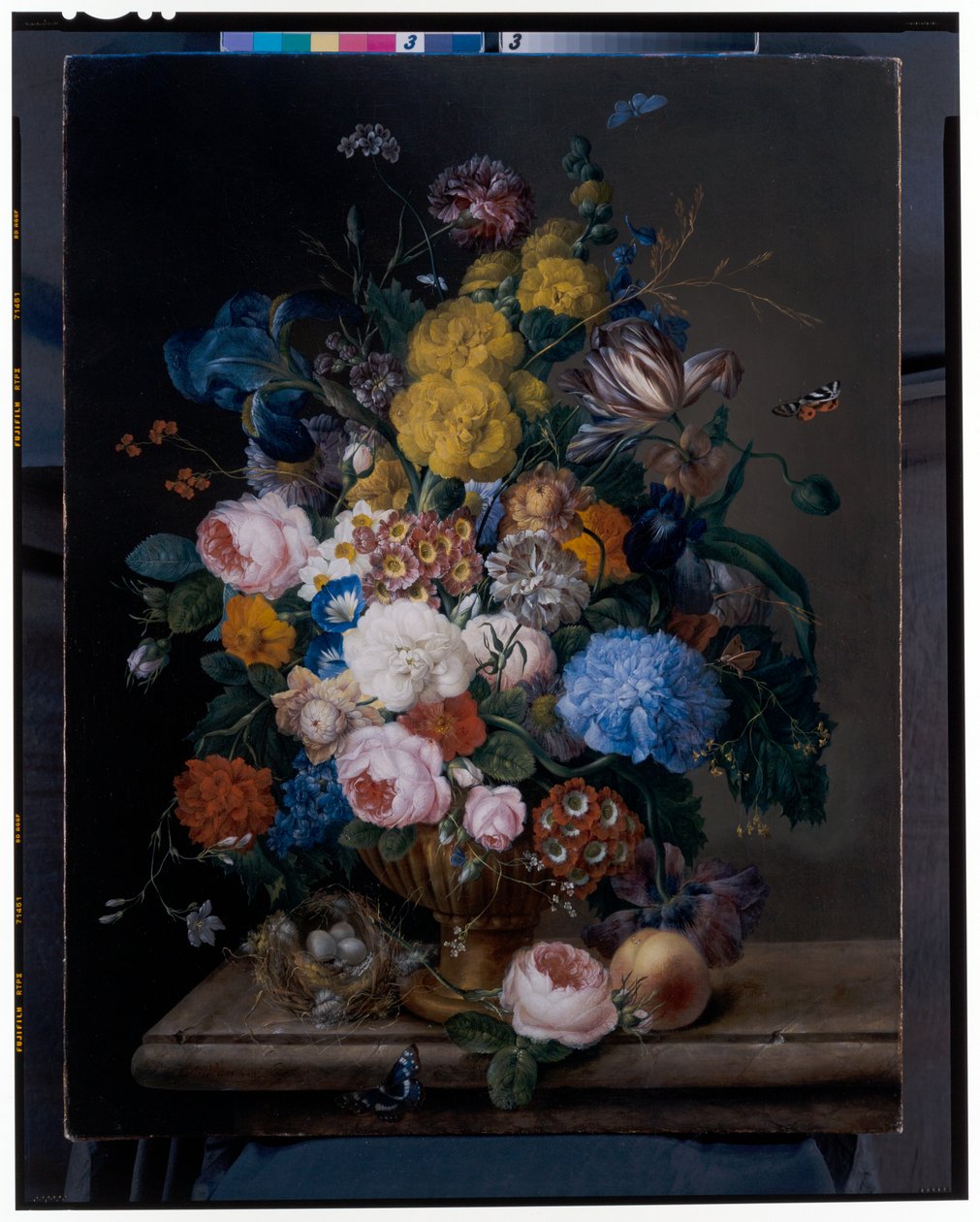 Rosas, íris, cravos, tulipas e outras flores numa urna de bronze de Franz Xavier Petter