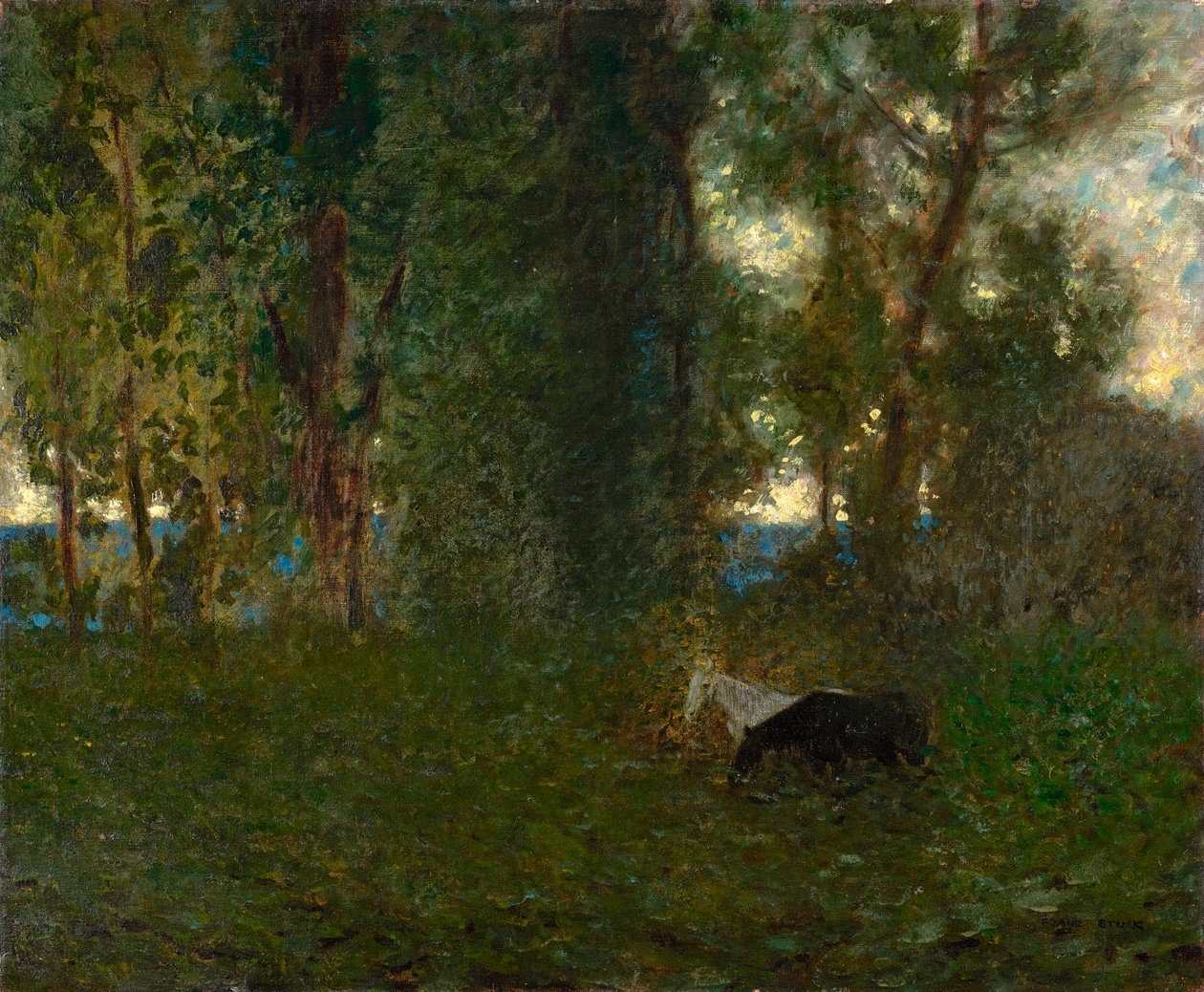 Cavalos de pasto de Franz von Stuck