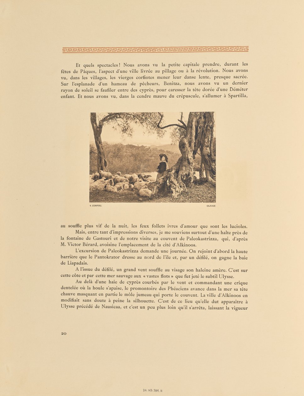 Corfu. Olival de Frédéric Boissonnas