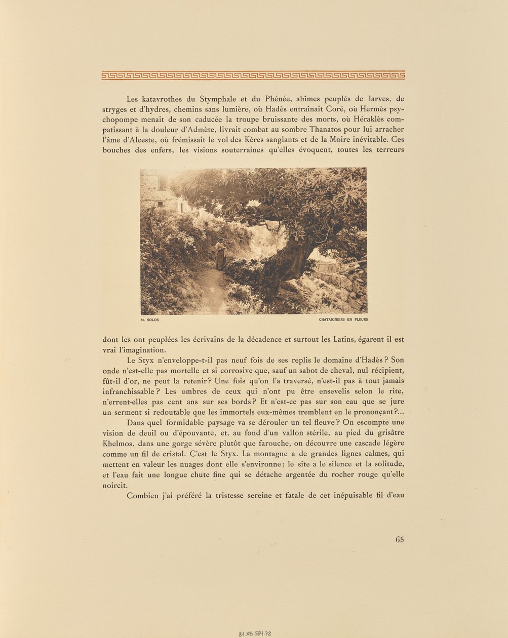Solos. Castanheiros em flor de Frédéric Boissonnas