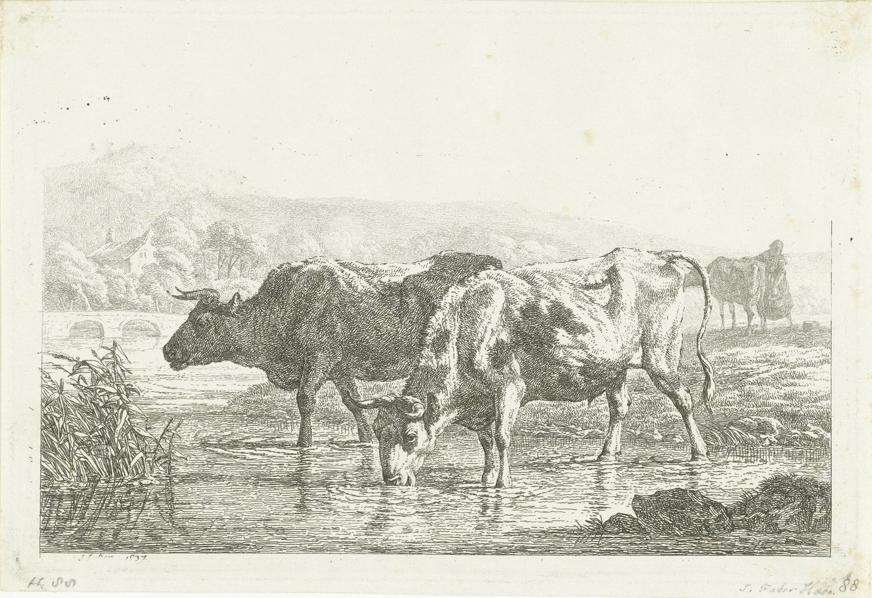 Duas vacas para beber de Frédéric Théodore Faber