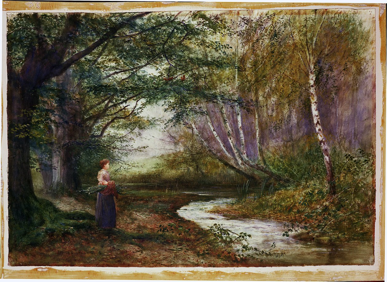 Burnham faias, outono de Fred Hines
