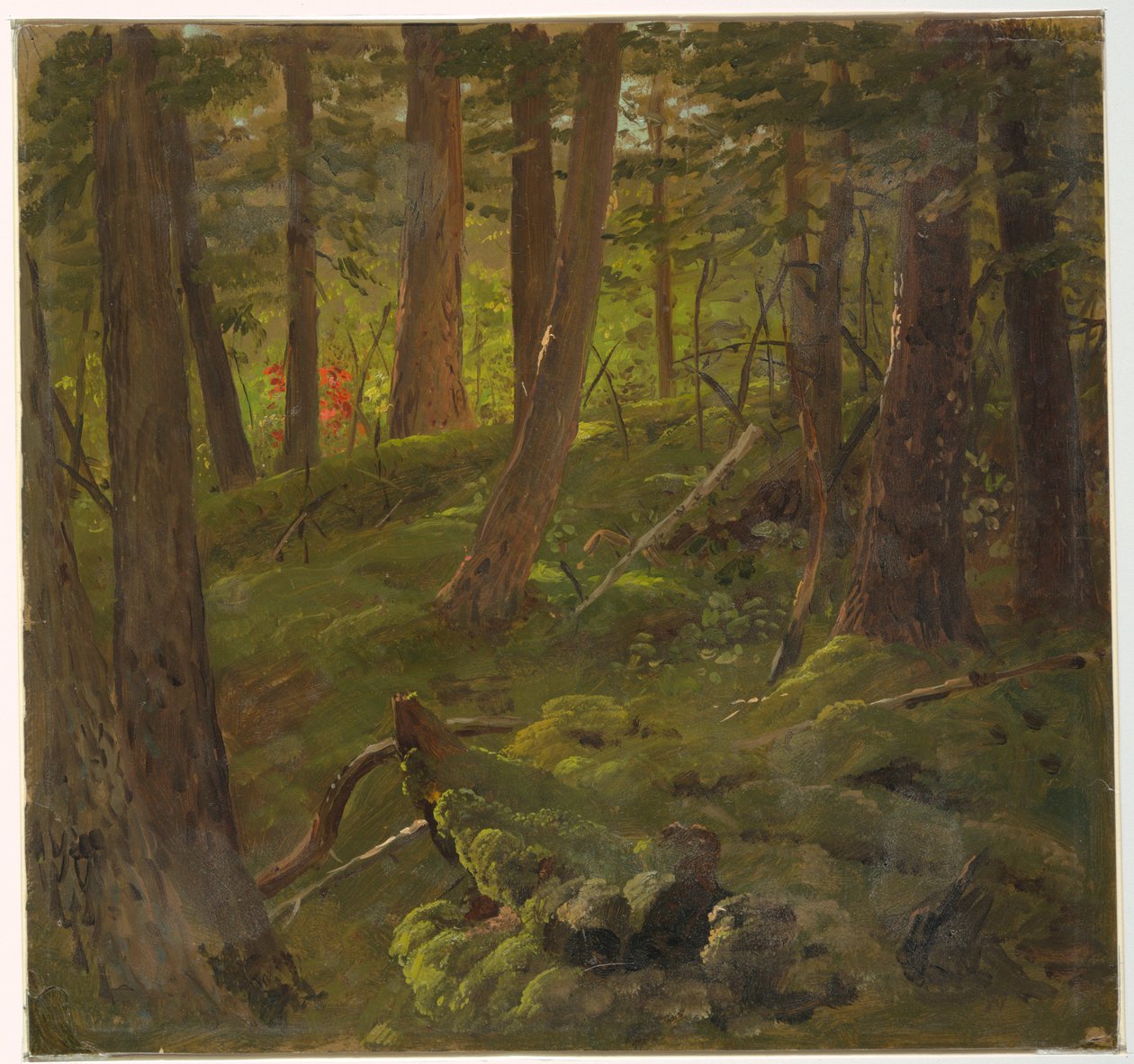 Desenho, Selva Vegetação, 1865 de Frederic Edwin Church