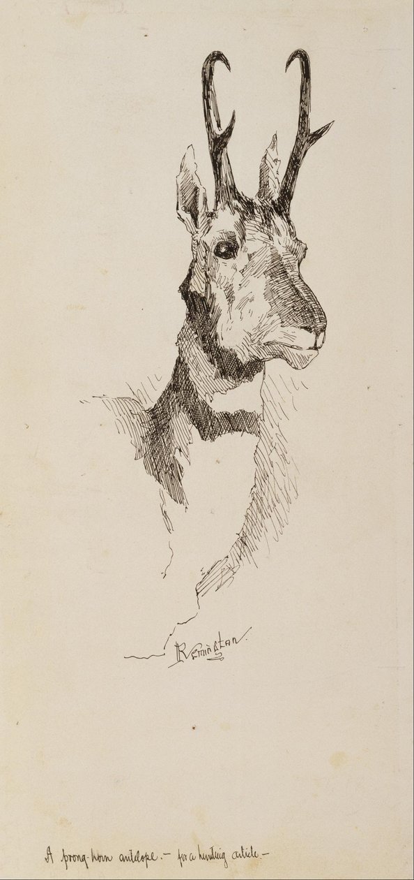 Um antílope pronghorn de Frederic Remington