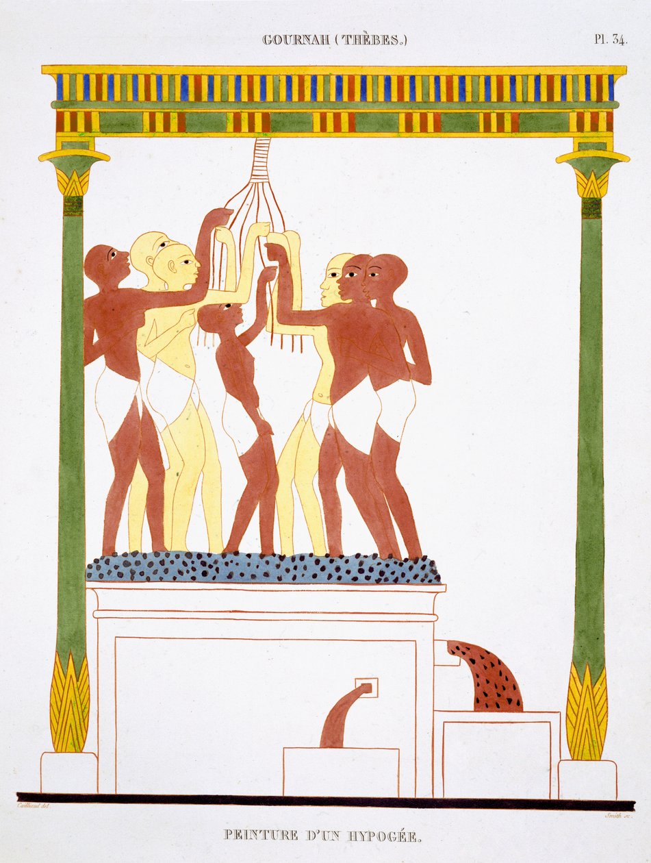 Pisa Uvas, de um Raro Registo de Frescos de Tebas, gravado em 1819-1822 na sua segunda visita ao Egipto por Frederic Cailliaud (1787-1869), cor litho de Frederic (after) Cailliaud