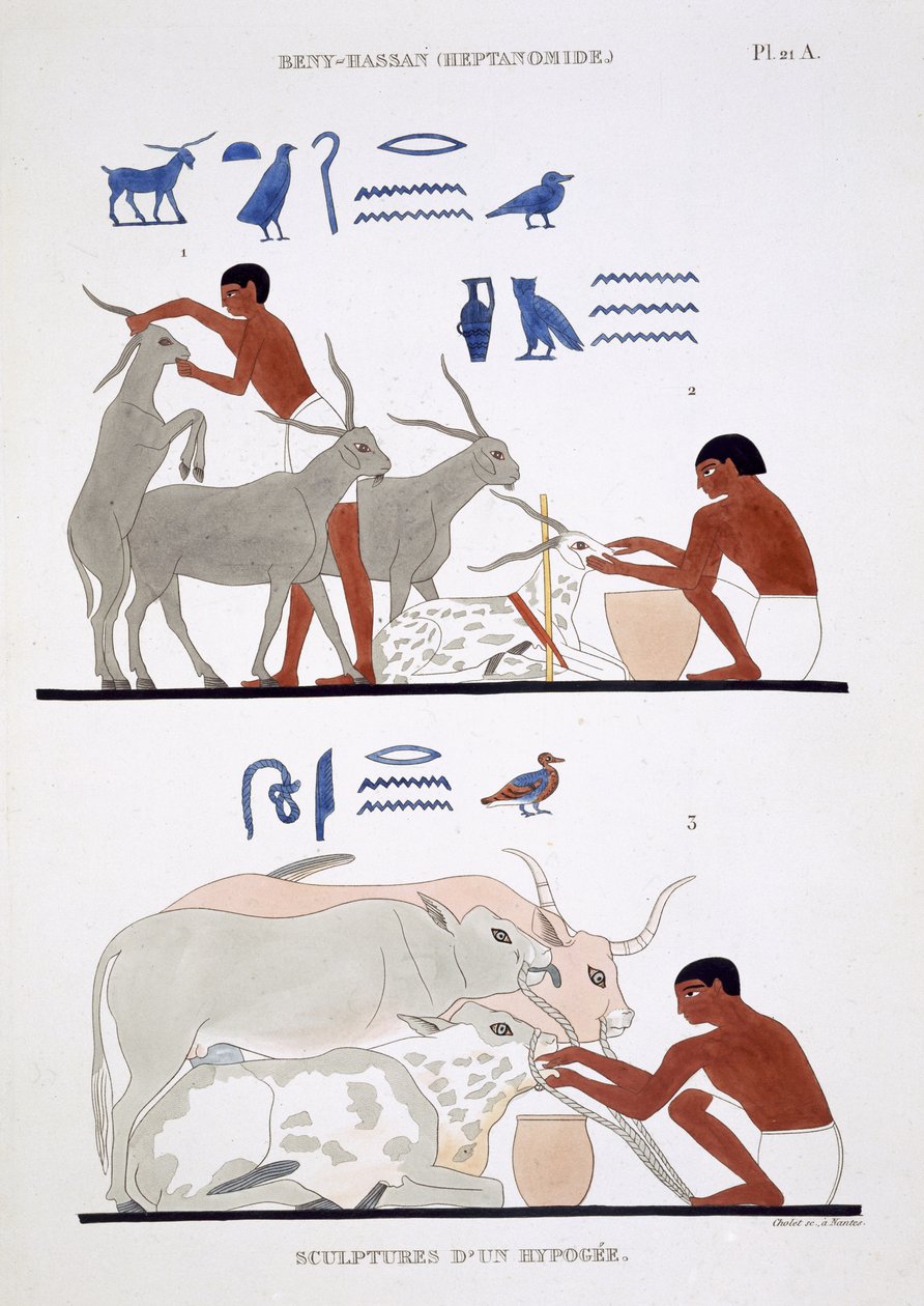 Trabalho Veterinário, de um Raro Registo de Frescos de Tebas, gravado em 1819-1822 na sua segunda visita ao Egipto por Frederic Cailliaud (1787-1869), cor litho de Frederic (after) Cailliaud