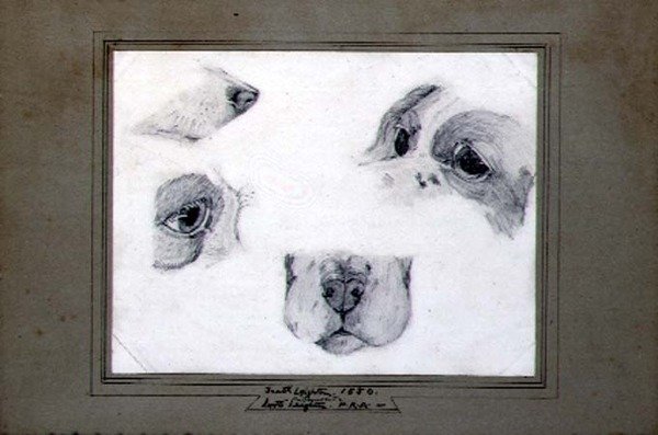 Estudos do Cão do Artista de Frederic (attr. to) Leighton