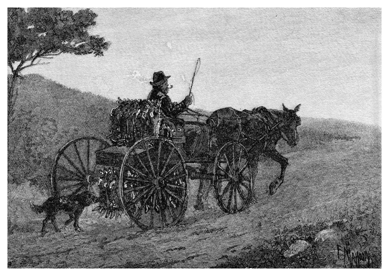 Um caçador de coelhos de Colac, 1886. de Frederic B. Schell