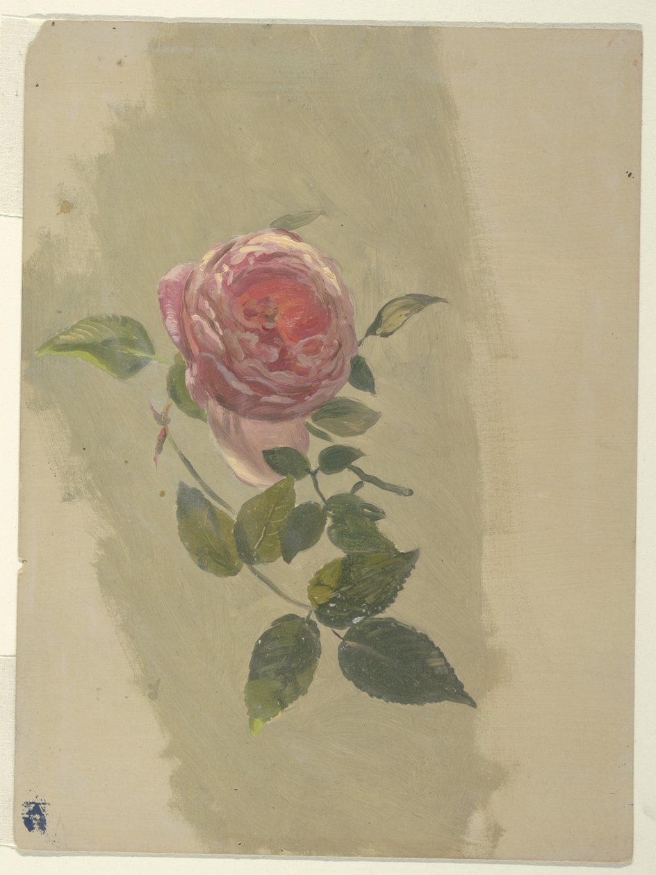 Um Ramo de Rosa de Frederic Edwin Church