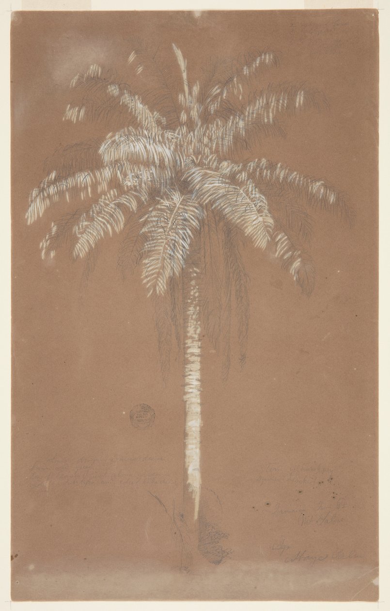 Vamos, Pâm. Sulus, Jamaica de Frederic Edwin Church