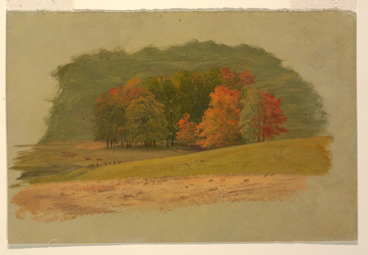 Paisagem de outono de Frederic Edwin Church