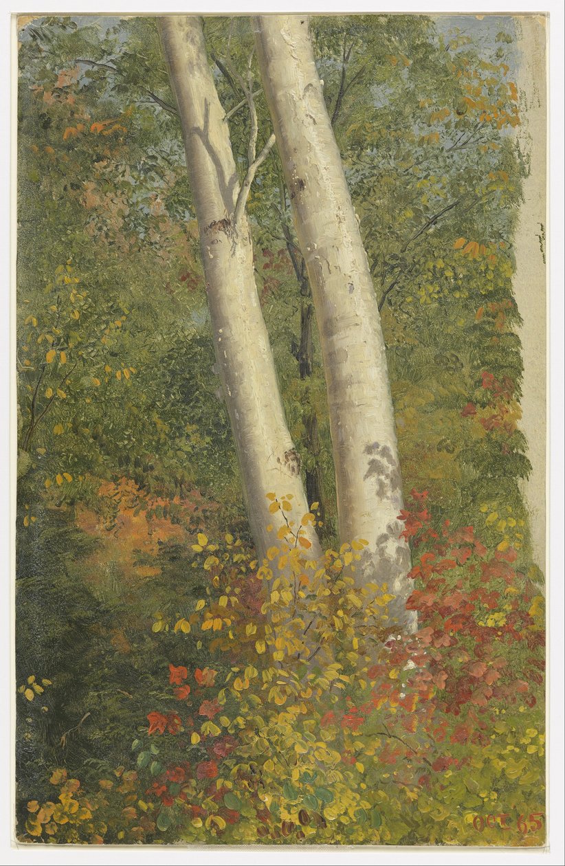 Bétulas no outono de Frederic Edwin Church