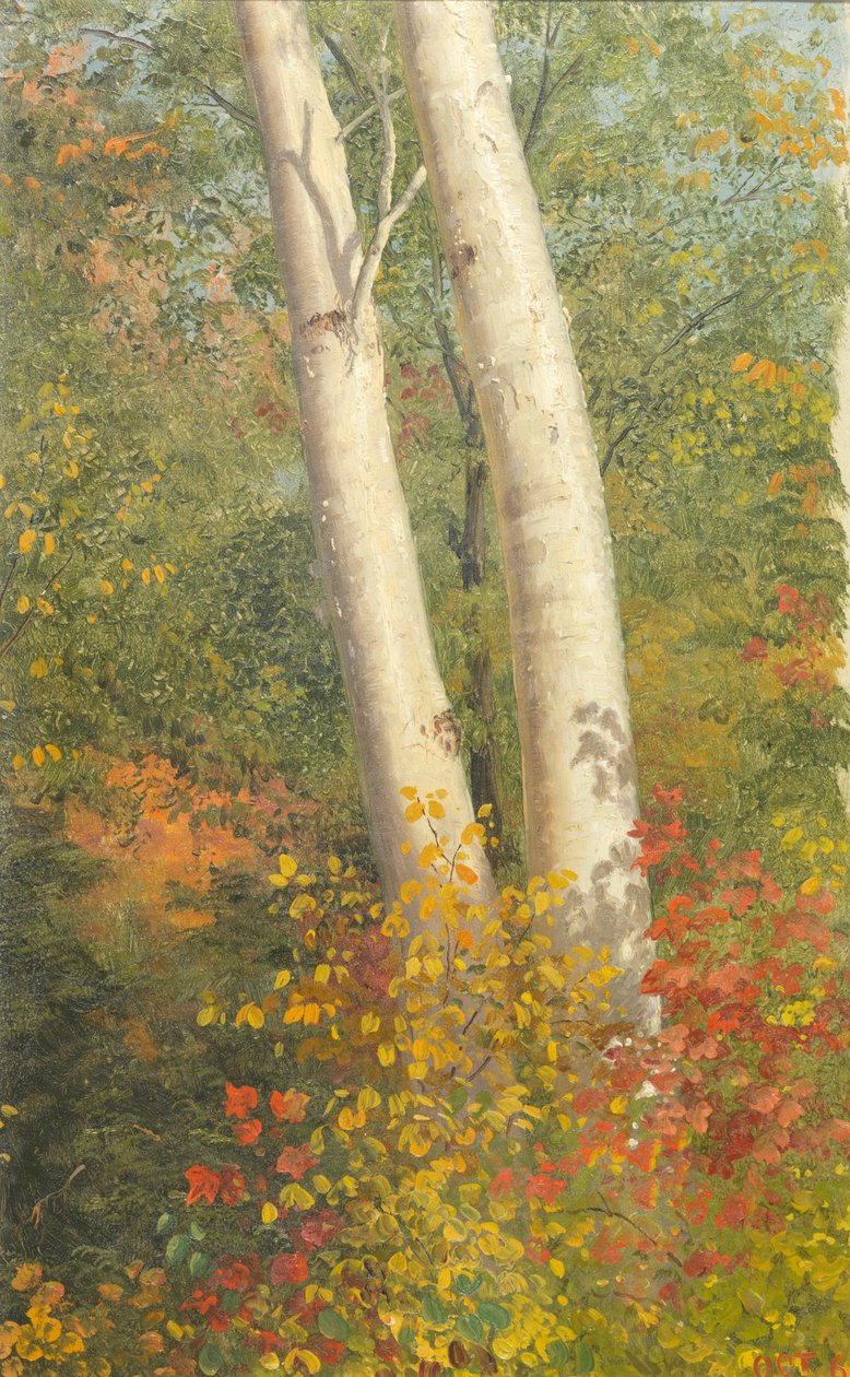 Árvores de vidoeiro no outono de Frederic Edwin Church