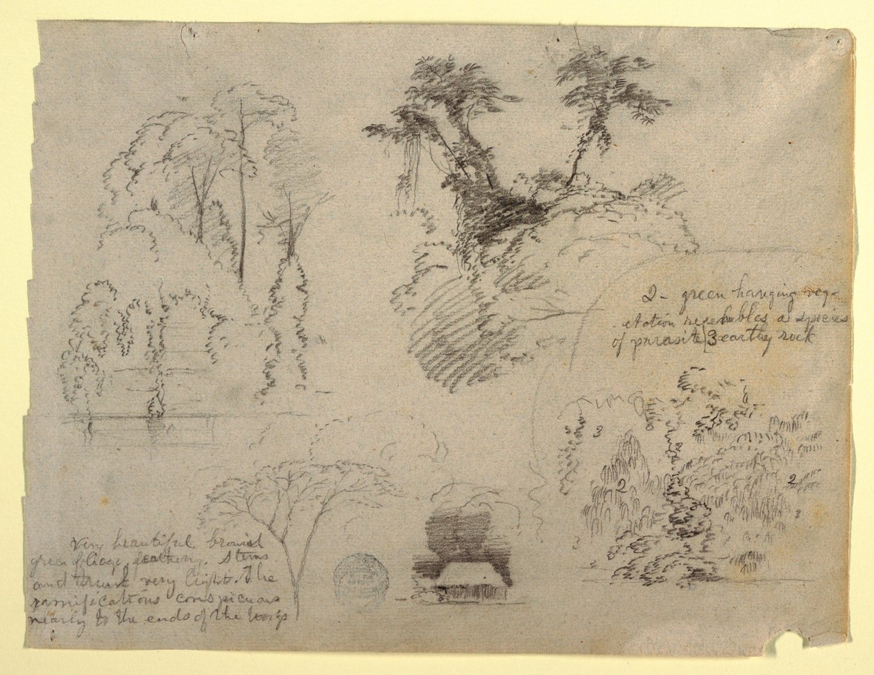 Estudos Botânicos e uma Casa, provavelmente da Colômbia de Frederic Edwin Church