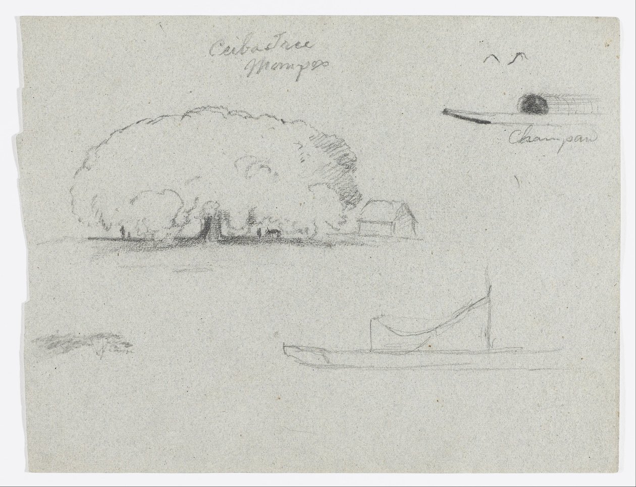 Árvore de ceiba em Mompos, canoa de Champan, árvores e um barco parcial, Rio Magdelena, Colômbia de Frederic Edwin Church