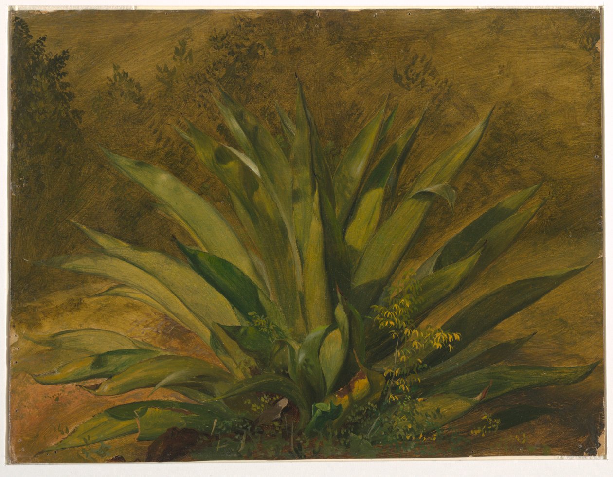 Fábrica do Século de Frederic Edwin Church