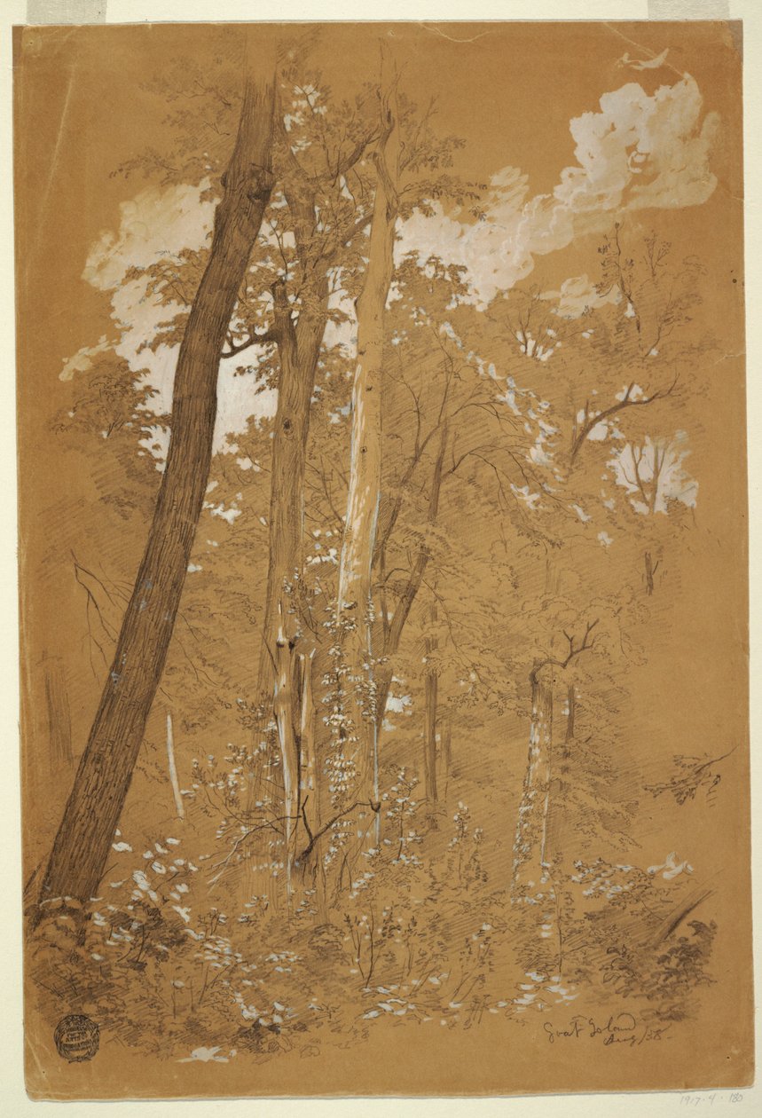 Castanheiros na Ilha Goat, Rio Niagara, Nova York de Frederic Edwin Church