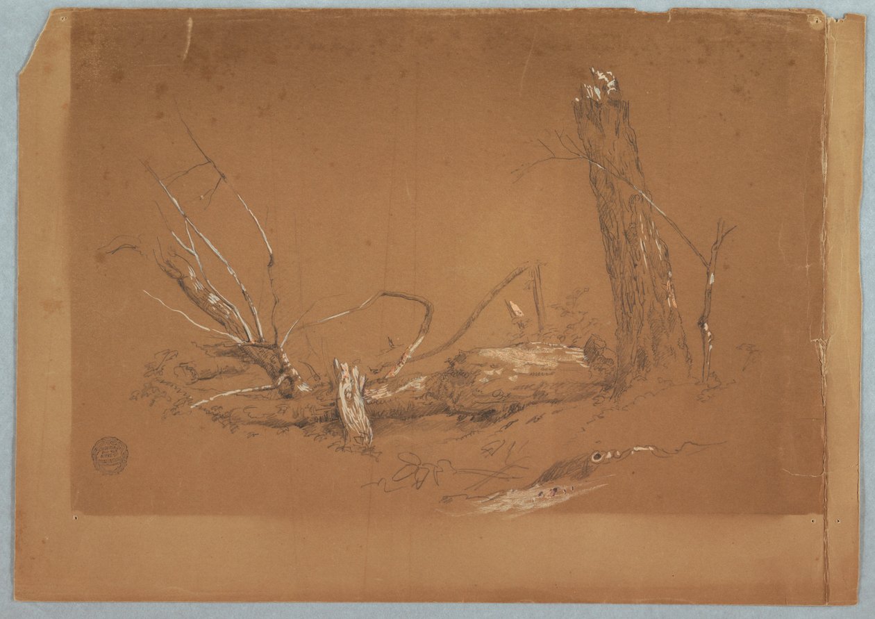 Desenho, Uma árvore morta partida, 1855-65 de Frederic Edwin Church