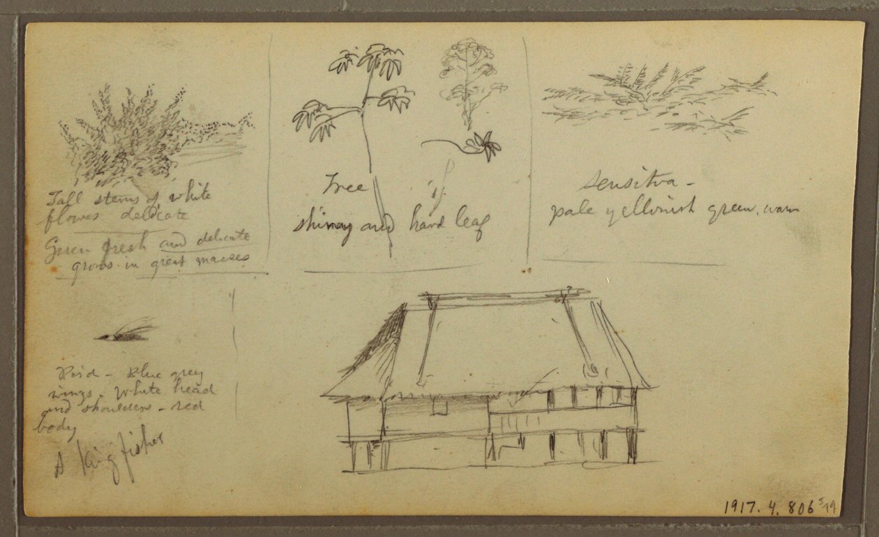 Desenho, Um Forte; Verso: Esboços Botânicos, Casa, 1857 de Frederic Edwin Church