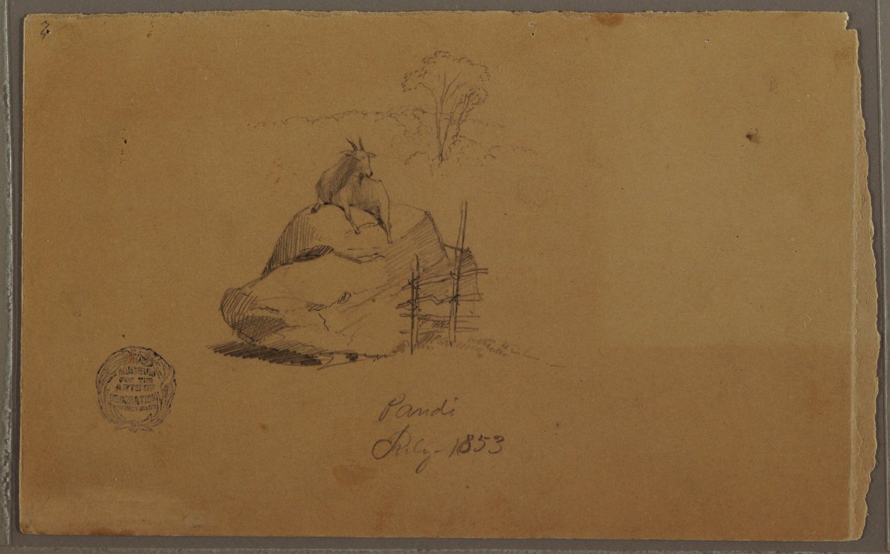 Desenho, Uma cabra em Pandi, Colômbia, julho de 1853 de Frederic Edwin Church