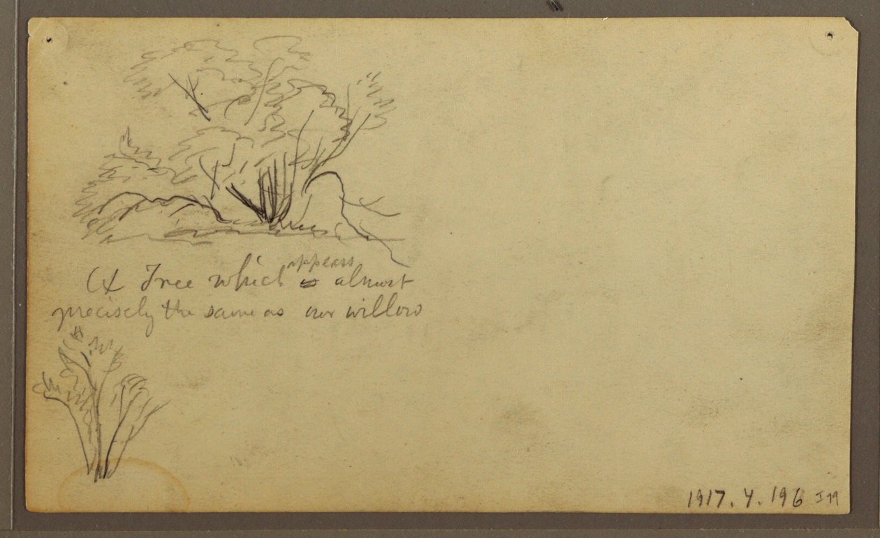Desenho, Uma cabana nos postes, Guayaquil, Equador, maio de 1857 de Frederic Edwin Church