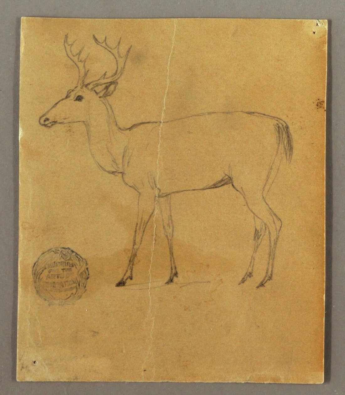 Desenho, Um veado em pé, ca. 1850 de Frederic Edwin Church