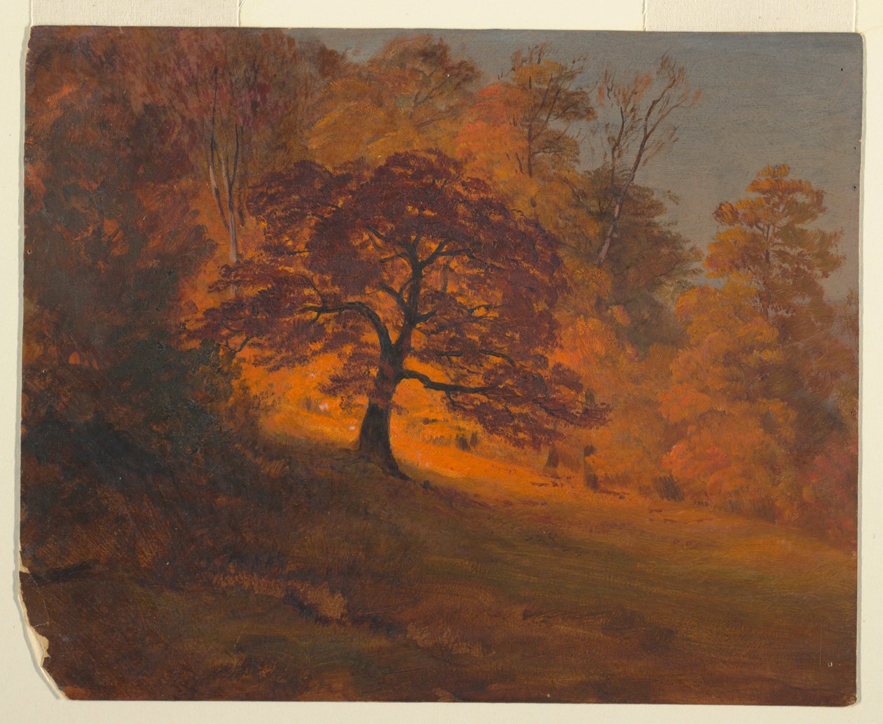 Desenho, Folhagem de outono, 1867 de Frederic Edwin Church