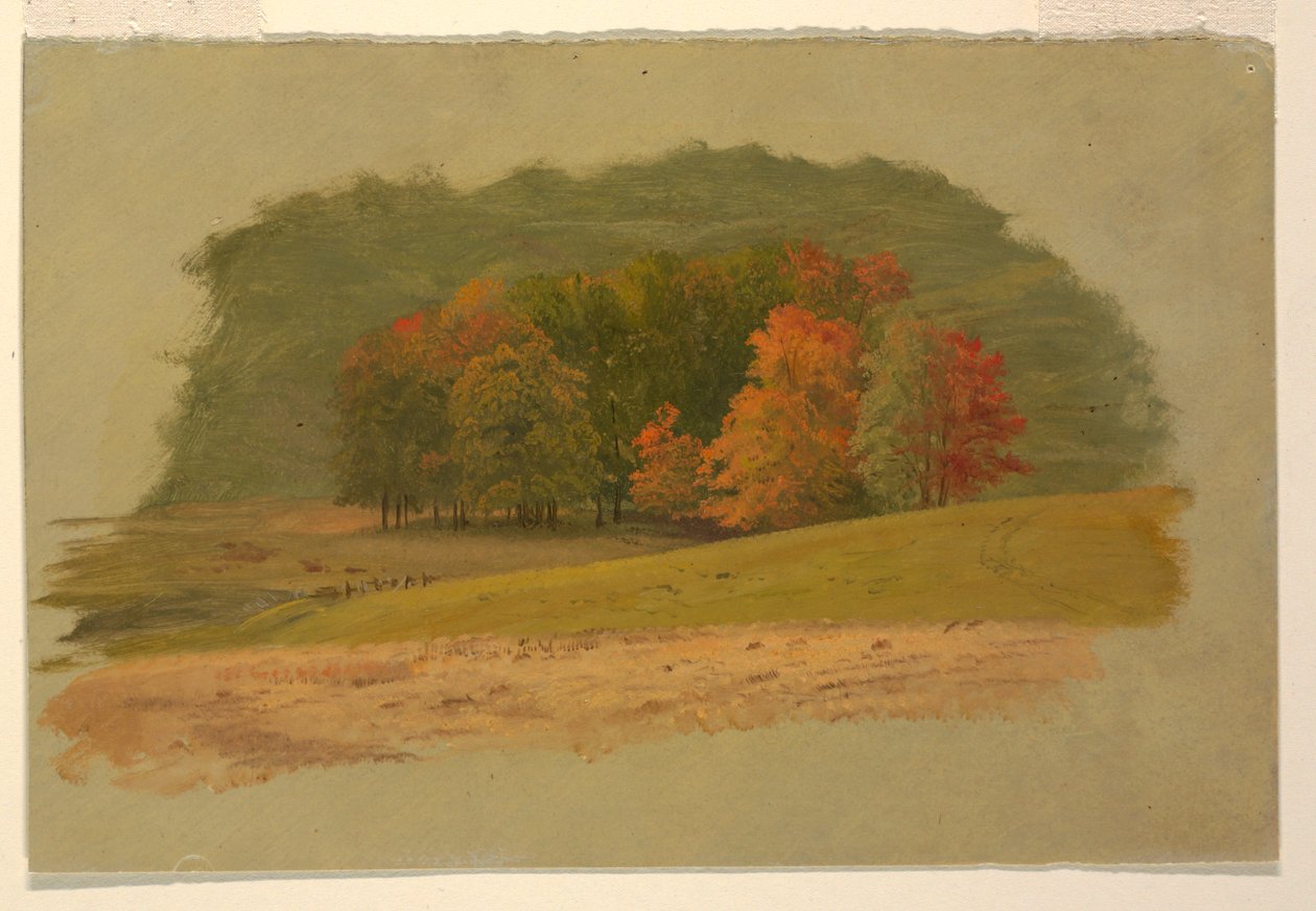 Desenho, Paisagem de outono, 1860-70 de Frederic Edwin Church