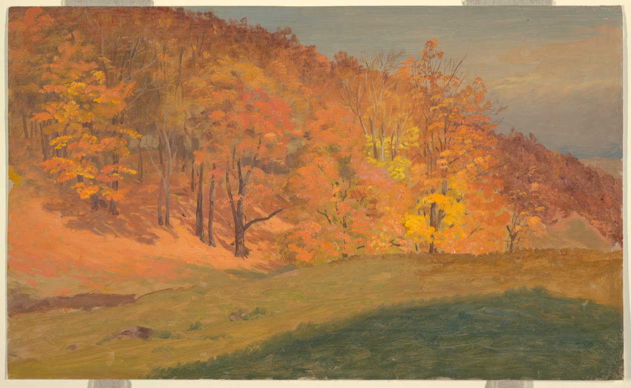 Desenho, Bosque de outono, ca. 1870 de Frederic Edwin Church