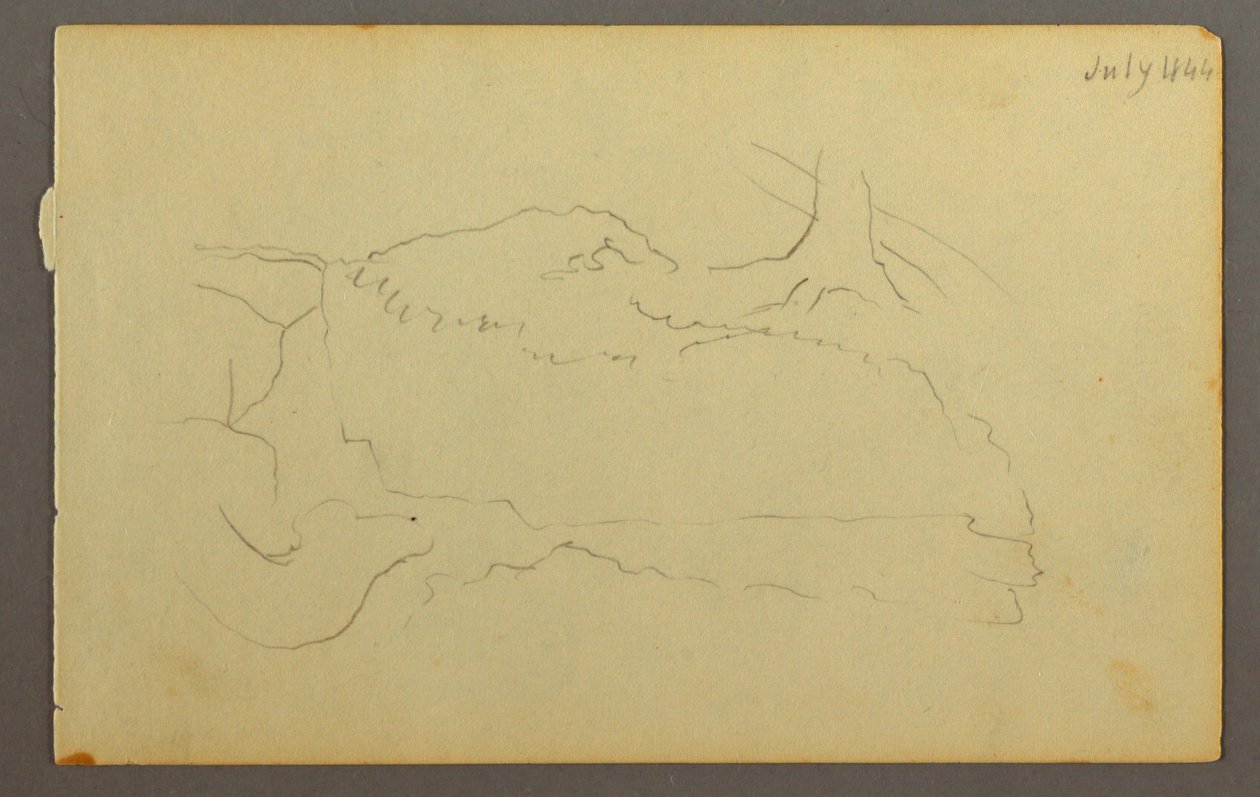Desenho, Base de uma árvore, pedregulhos, 1844 de Frederic Edwin Church