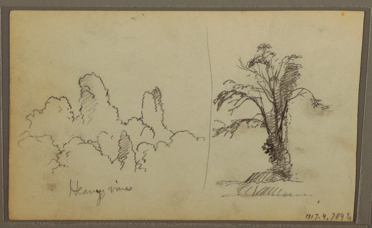 Desenho, Bireds, "Rock in Panama Bay"; Verso: "Heavy Vines", 15 de maio de 1857 de Frederic Edwin Church