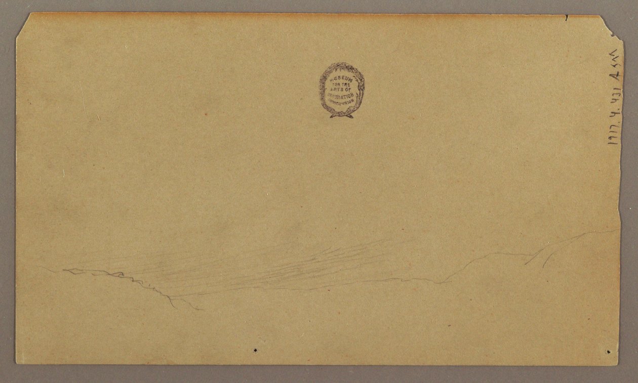 Desenho, Esboços Botânicos, agosto de 1865 de Frederic Edwin Church