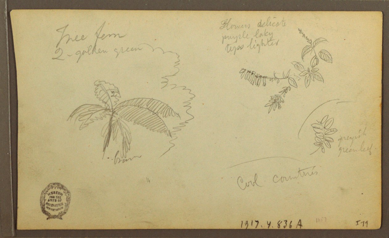Desenho, Esboços Botânicos; Verso: Esboços Botânicos, 1857 de Frederic Edwin Church