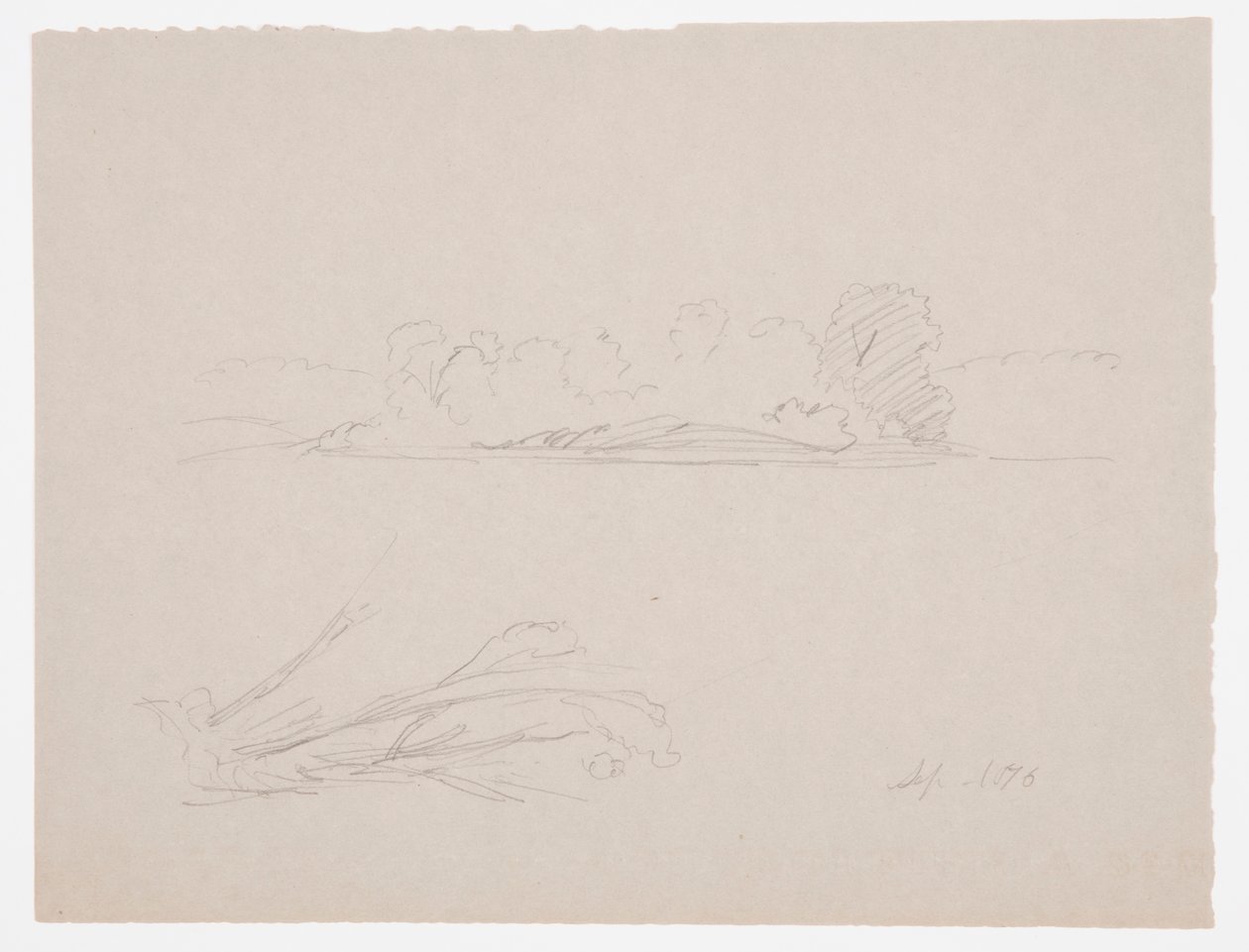 Desenho, Esboços botânicos: paisagem, árvores numa margem, setembro de 1876 de Frederic Edwin Church