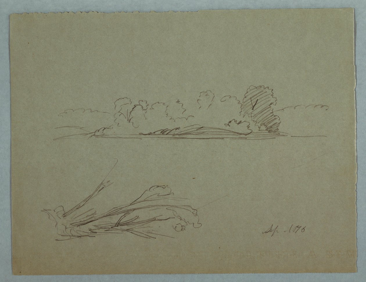 Desenho, Esboços botânicos: paisagem, árvores numa margem, setembro de 1876 de Frederic Edwin Church